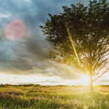 Bites of Madrid. Un corto en Timelapse