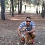 Excalibur, el perro de la infectada, ha estado jugando con decenas de canes