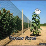 Me he ido sola al rincón de pensar