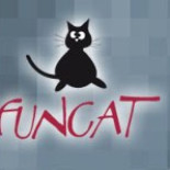 Cómo presentar un nuevo gato a nuestro gato