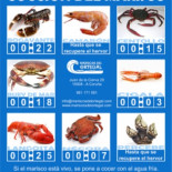 Una confusión habitual: Bogavante y Langosta