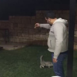 Se busca a este cabrón maltrarador de animales. Tira a un gato por una terraza de una terrible patada