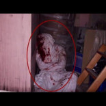 Exploración de una casa abandonada ¡TERMINA MAL! [NSFW]