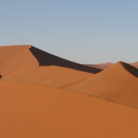 Como montar a pelo un gusano de arena: los retos de Villeneuve para adaptar Dune