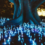 Aquella vez en que los hongos salvaron el mundo