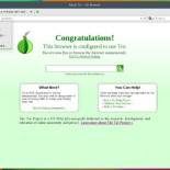 Cosas que no debes hacer al usar Tor