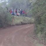 El Perro más Suertudo del Mundo