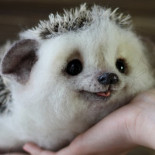 Los fascinantes peluches de Tatiana Barakova