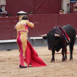 El lento avance hacia una España sin tauromaquia