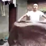 El aprendiz de brujo [Ch.]