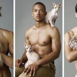 Gatitos y gatetes [ENG]