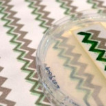 Energía solar sin necesidad de instalar placas en el tejado de tu casa