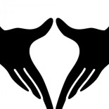 Los ginecólogos advierten: colocar nidos de avispa en la vagina para rejuvenecerla no es una buena idea