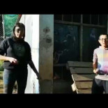 ¡Los huevos son de las gallinas!