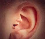 65 millones de adultos en la UE sufren de tinnitus, y esta cifra aumentará significativamente durante la próxima década