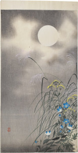 La asamblea del bosque