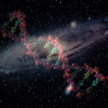 ¿Tiene algún sentido la vida?