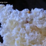 Pan de naranja de Francisco Tejero