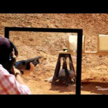 Fluido no newtoniano contra escopetazo de postas