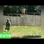 Cuando una valla no es una barrera para la amistad