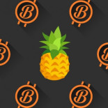 Filántropo dona 86 Millones de dólares en Bitcoin