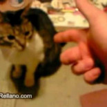 Blanqui nos ha abandonado