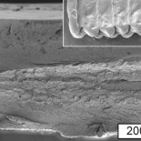Científicos del MIT crean sistema de impresion 3D para celulosa [ENG]