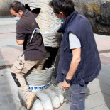 Encuentran un hombre muerto dentro de un dinosaurio ornamental (CAT)