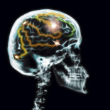 ¿Predecimos el futuro? El cerebro acierta el 90% de las veces