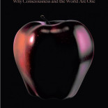 La hipótesis de la identidad mente-objeto. Entrevista a Riccardo Manzotti