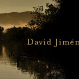 El triunfo de los mediocres