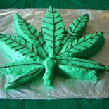 Absuelven a los 6 miembros de club de cannabis de Ibiza acusados de narcotráfico