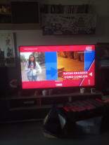 Ratas Grandes como Conejos y Perros