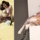 Gatos pin-up [NSFW] .... pero sólo porque los gatos salen provocando