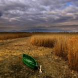 Muere Daimiel y Doñana agoniza