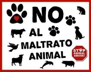 Abuso_Animal