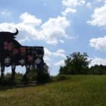Repintan el mismo  toro de Osborne, ahora con florecillas