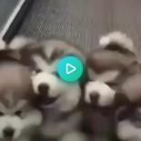 Frente tormentoso avanzando