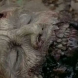 ¿Qué significa la "W" en el zombie de The Walking Dead? [ENG] [Spoiler]