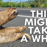 Cómo importar grandes bases de datos en poco tiempo para el desarrollo