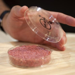 La primera hamburguesa de laboratorio ya es tan barata que podrías comprarla