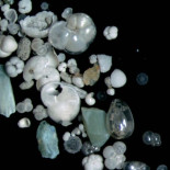 Muestras de foramínifera del fondo del Mar Meridional de China