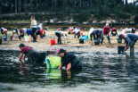 Alerta en Galicia por la falta de marisco: “El mar está dejando de producir”