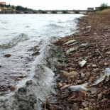 El cambio climático es nuestro problema, no el de generaciones futuras