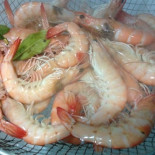 Una granja de langostinos en Medina del Campo, Valladolid