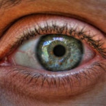 Un desajuste en el cerebro hace que personas vean cosas que pasaron horas antes