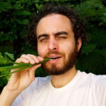 Para los hombres: comer apio ayuda a atraer sexualmente