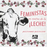 PETA:  "Ser feminista significa apoyar el derecho de todas las mujeres, incluyendo a las vacas"