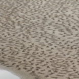 9000 soldados caídos grabados en las playas de Normandía para conmemorar el Día de la Paz