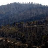 Condenan a una financiera por usura al conceder un préstamo al 500% de interés